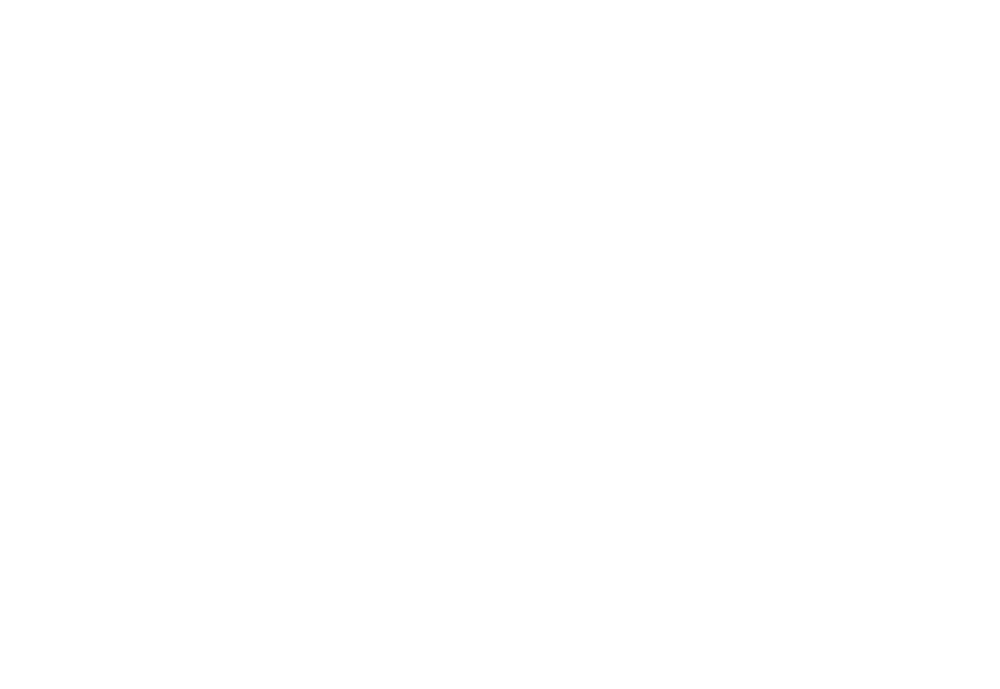 웰니스 동물병원
